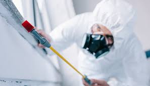 Best Real Estate Pest Inspections  in North Gates, NY